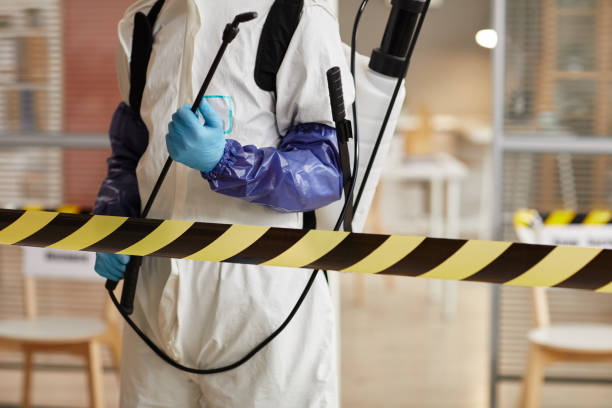 Professional Sewage Cleanup technician working in Milford, NH